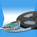 Flexible LED Strip