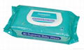 wet wipes 1