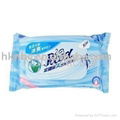 women wet wipes 1