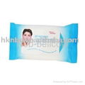 adult wipes 1