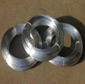 galvanised iron wire