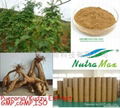 Pueraria (Kudzu Root) Extract 40% Isoflavnis