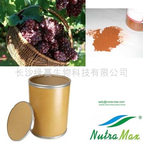 Grape Seed Extract 95% OPC 1
