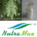 Ligustrum Lucidum Extract 10:1 1