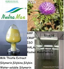 Milk Thistle Extract 80% Silymarin