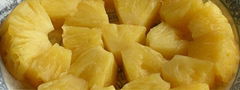 Canned Pineapple Tidbits, Chunks, Dices