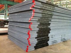 P355NL1 Wuyang Iron and Steel cryogenic quality level