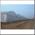 GoRun Polycarbonate sheet for Green house 1