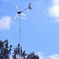 600W Wind Turbine Generator 2