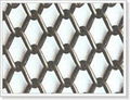 Decorative Mesh Curtains 1