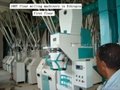 flour machine/flour milling machinery
