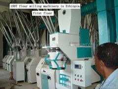 flour machine/flour milling machinery/grainder/maize milling machinery/miller