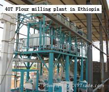 Flour mill/Flour machine/flour milling machinery/roller/grinder