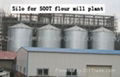 Flour mill/Flour machine/flour milling