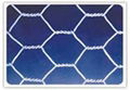 hexagonal wire mesh