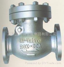 check valve