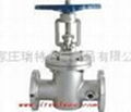 gate valve