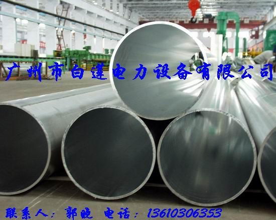 White Lotus electricity supply pipe fittings bus 5