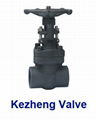 Forged Steel Valve