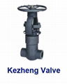 Forged Steel Gate Valve 1