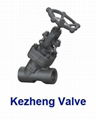 Forged Steel Globe Valve