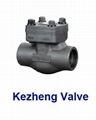 Forged Steel Check Valve 1