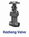 Forged Bellow Seals Valve