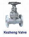 Stainless Steel Valve 1