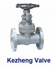 Stainless Steel Valve