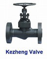 Forged Flange Gate Valve