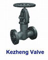 Pressure Seal Globe Valve 1