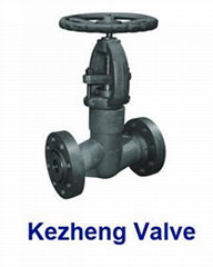 Pressure Seal Globe Valve