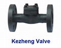 Flanged Check Valve 1