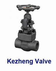 Globe Valve