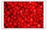 lingonberry extract