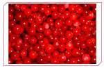 lingonberry extract