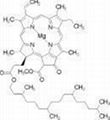 odium copper chlorophyllin