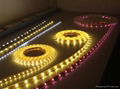 5 meter led strip light  2