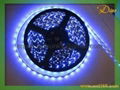 3528  led flexible strip red,green ,blue ,yellow,white ,warm white  2