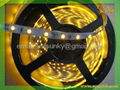 3528  led flexible strip red,green ,blue ,yellow,white ,warm white  3