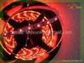 5050 60led/m  rgb flash 12V Flexible Strip for home and garden,car decoration  3