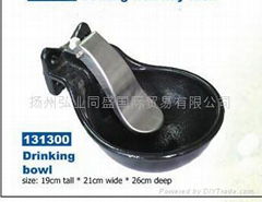 Horse Drinking bowl