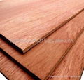 Veneer Plywood 4