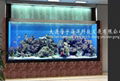 哈尔滨观赏鱼缸
