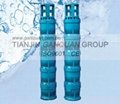 China Submersible Hot Water Well Pump  4