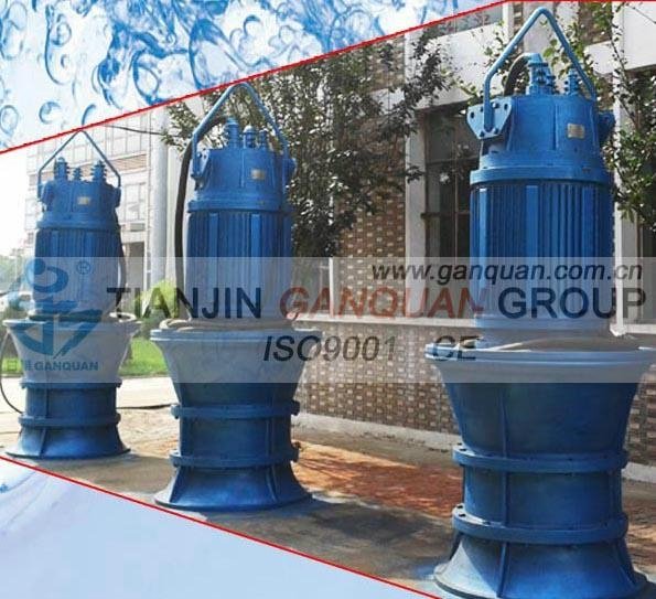 Submersible Axial Flow Water Pump 2