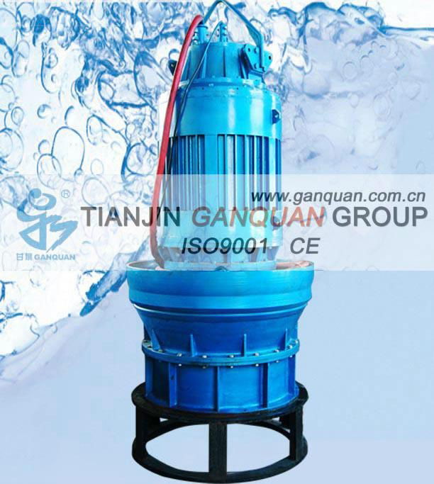 Submersible Axial Flow Water Pump 3