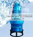 Submersible Axial Flow Water Pump 3