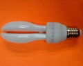 LOTUS COMPACT  FLUORESCENT LAMP