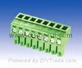 Pl   able Terminal block 1